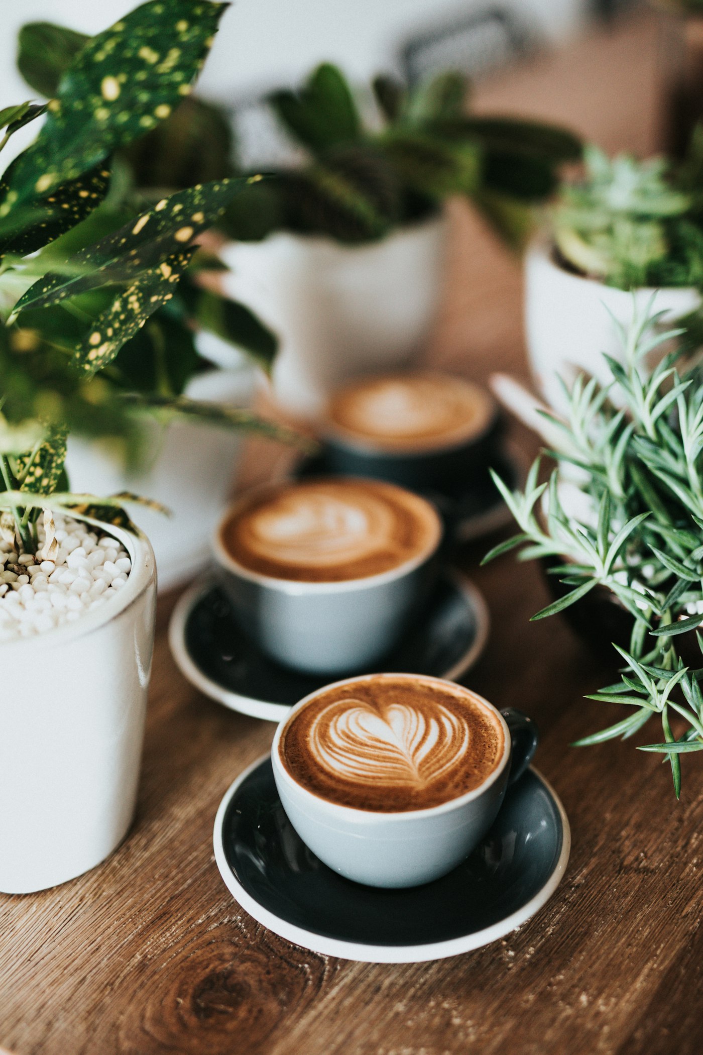 Espresso streaming from a portafilter